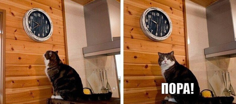 1321